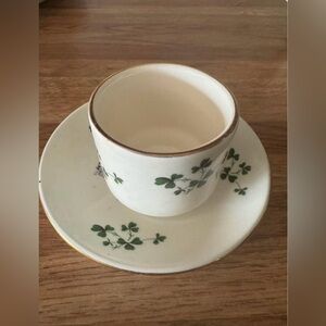 Vintage Carrigaline Pottery Blarney Cup & Saucer 🇮🇪